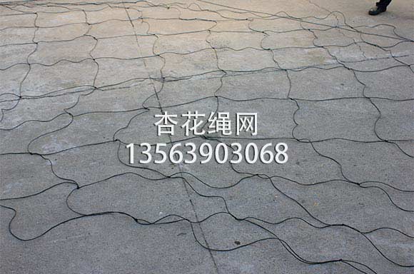 大棚网