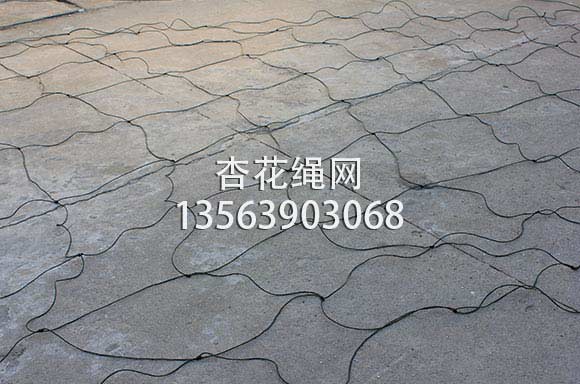 大棚网