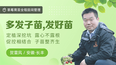 多发子苗，，，，，发好苗